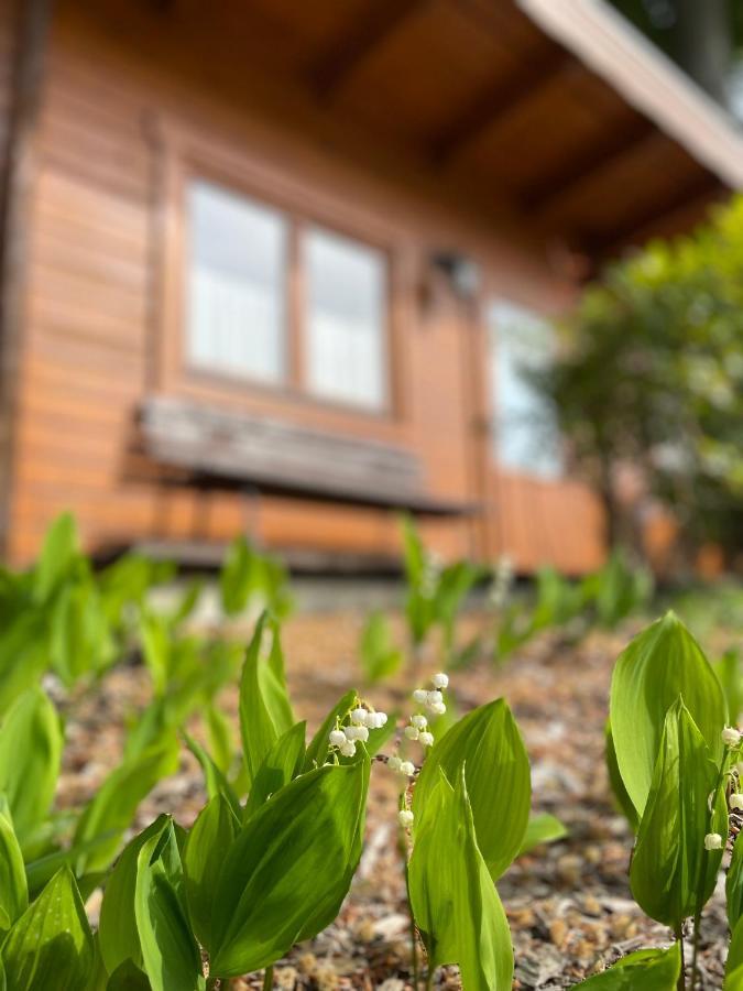Forsthaus Langenberg Otel Heringsdorf Dış mekan fotoğraf