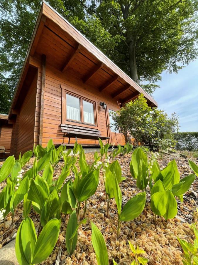 Forsthaus Langenberg Otel Heringsdorf Dış mekan fotoğraf